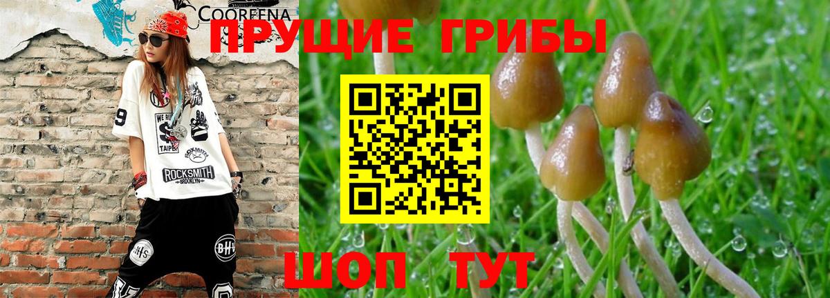 Галлюциногенные грибы мухоморы Михайловск
