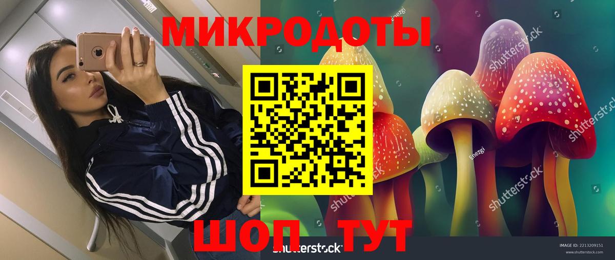 Псилоцибиновые грибы GOLDEN TEACHER  Вход с VPN  Михайловск 